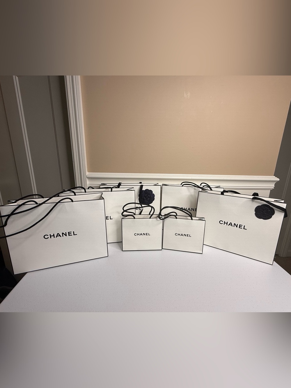 Luxury Shopping Bags, including Dior, Chanel, Prada, & Gucci. - Picture 3 of 12